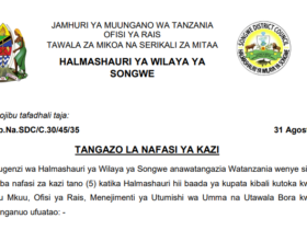Nafasi za Kazi Halmashauri Mbalimbali
