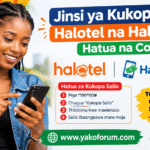 Jinsi ya Kukopa Salio Halotel na HaloPesa