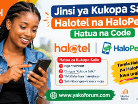Jinsi ya Kukopa Salio Halotel na HaloPesa