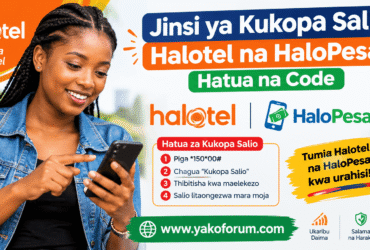 Jinsi ya Kukopa Salio Halotel na HaloPesa