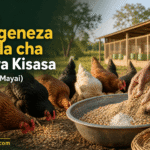 Jinsi ya Kutengeneza Chakula cha Kuku wa Kisasa