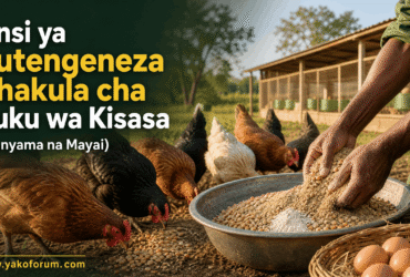 Jinsi ya Kutengeneza Chakula cha Kuku wa Kisasa