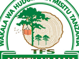 Majina ya Walioitwa Kazini Wakala wa Huduma za Misitu Tanzania (TFS)