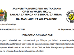 Nafasi 10 za Kazi Halmashauri ya Wilaya ya Mbozi