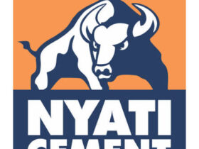 Nafasi za Kazi Lake Cement Ltd