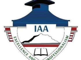 Nafasi za Kazi Institute of Accountancy Arusha (IAA)